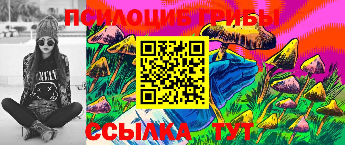 Галлюциногенные грибы Psilocybe  Вход с VPN  Азнакаево 